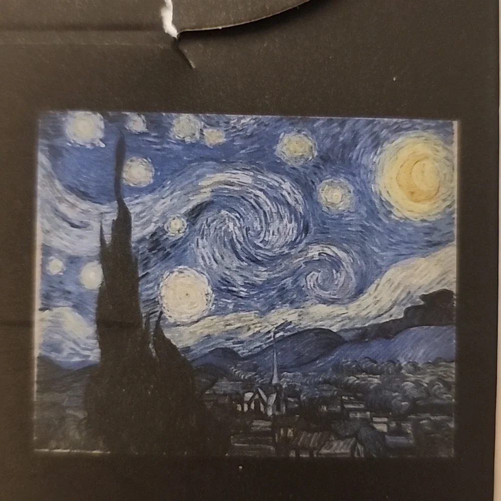 Modgy Vincent Van Gogh's Starry Night Portable Dog Bowls Set of 2 .
